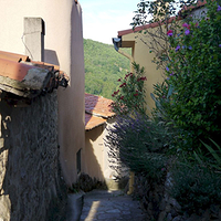 Photo de France - La région de Vernet-les-Bains